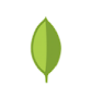 MongoDB MongoDB